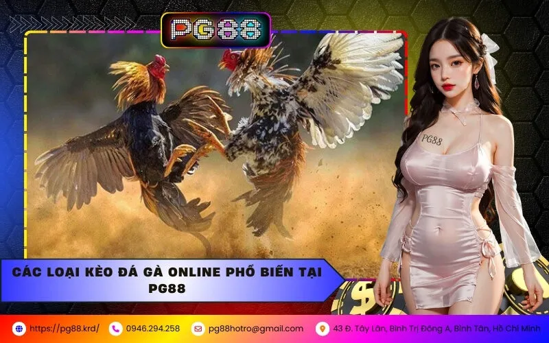 Các Loại Kèo Đá Gà Online Phổ Biến Tại PG88